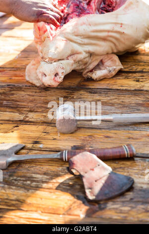 Ein Metzger beginnt zu schnitzen ein frisch getöteten Schwein während einer Cajun-Boucherie, Teil der traditionellen einwöchigen Karneval Festlichkeiten 8. Februar 2016 in Eunice, Louisiana. Die alte Mode-Community-Event beinhaltet eine ganzes Schwein Schlachten und verwenden, und alle Teile für die Gäste zu kochen. Stockfoto