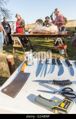 Metzger beginnen schnitzen ein frisch getöteten Schwein während einer Cajun-Boucherie, Teil der traditionellen einwöchigen Karneval Festlichkeiten 8. Februar 2016 in Eunice, Louisiana. Die alte Mode-Community-Event beinhaltet eine ganzes Schwein Schlachten und verwenden, und alle Teile für die Gäste zu kochen. Stockfoto