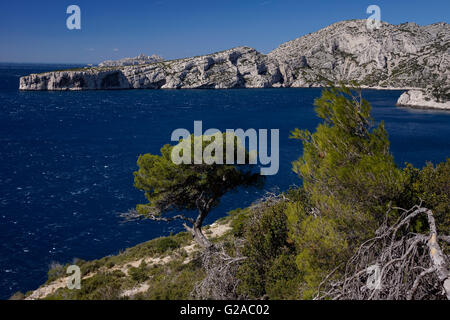 Landschaft vom Nationalpark Calanques in der Provence in Frankreich Stockfoto