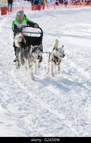 Kamtschatka Kinder Hund Schlitten Race Dulin, Beringia. Kleiner Junge Musher mit seinem Schlitten Hund läuft in einer Entfernung von 3 km. Stockfoto