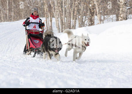 Kamtschatka Kinder Hund Schlitten Race Dulin, Beringia. Kleiner Junge Musher mit seinem Schlitten Hund läuft in einer Entfernung von 3 km. Stockfoto