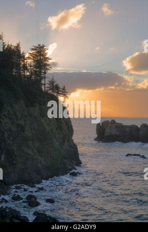 Bäume auf der Klippe über dem Meer bei Sonnenuntergang Stockfoto