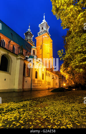 Gniezno Kathedrale Gniezno, Großpolen, Polen Stockfoto