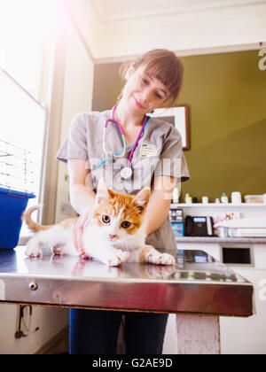 Tierarzt Holding Kätzchen auf Tisch Stockfoto