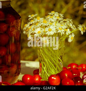 Blumenstrauß White Daisy in ein Glas und Kirschen auf Tisch Stockfoto