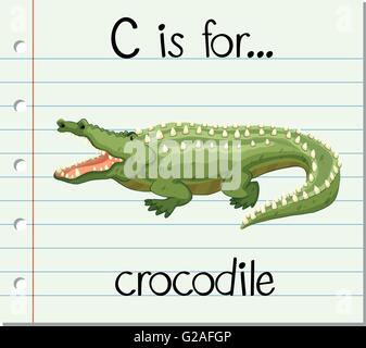 Flashcard Buchstabe C ist für Krokodil illustration Stock Vektor