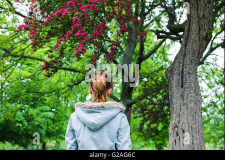 Eine junge Frau ist Fuß in einem Park unter einem Baum in voller Blüte Stockfoto