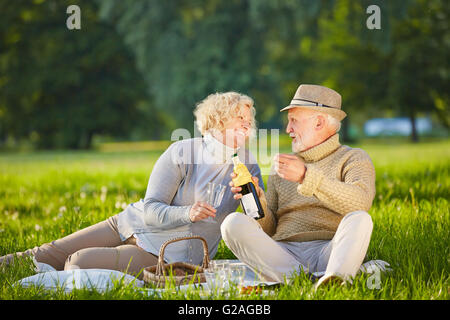 Gerne älteres paar Weintrinken im Sommer bei einem Picknick Stockfoto