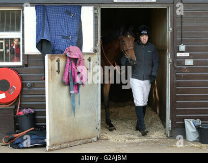 Cabinet Office Minister Matthew Hancock mit Rennpferd Capeleira während einer Trainingseinheit in der British Racing School in Newmarket, für die Newmarket Stadt Platte, die er teilnehmen werden in der Stadt 350. Jahrestag und heben Geld für Hospiz St. Nikolaus feiern. Stockfoto