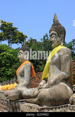 Reihen von Buddhas In der ehemaligen Galerie des Wat Yai Chai Mongkons, buddhistische Tempel, Thailand Stockfoto