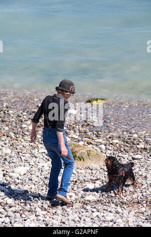 Frau spielen mit Spaniel hund am Strand bei Freshwater Bay, Isle of Wight, Hampshire Großbritannien im Mai Stockfoto