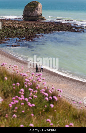 Auf der Suche nach paar entlang Strand bei Freshwater Bay, Isle of Wight, Hampshire Großbritannien im Mai - seastacks Sea stacks Küste Stockfoto