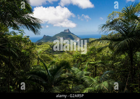 Pedra da Gavea Berg gesehen von The Tijuca Forest (Floresta da Tijuca in portugiesischer Sprache), einer bergigen Hand gepflanzt Regenwald in der Stadt Rio De Janeiro, Brasilien - es ist ein UNESCO-Weltkulturerbe und der weltweit größten Stadtwald, über einige 32 km ² (12,4 mi²) - der Tijuca Wald ist Heimat für Hunderte von Arten von Flora und Fauna, viele vom Aussterben bedroht , und fand nur im Atlantischen Regenwald (Mata Atlantica in portugiesischer Sprache). Die Vegetation ist so dicht, dass Wissenschaftler haben schätzungsweise Umgebungstemperaturen in der Umgebung von bis zu 9 ° c gesenkt haben Stockfoto