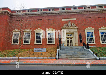 Cambridge, USA - 29. April 2015: Harvard Art Museum, Fogg Art Museum, der Harvard University in Cambridge, Massachusetts, MA, USA. Stockfoto