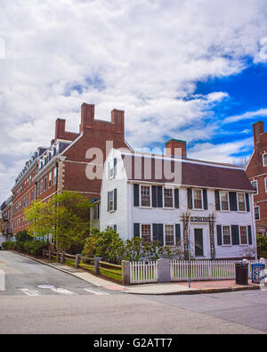 John F Kennedy Straße im Bereich der Harvard University in Cambridge, Massachusetts, USA. Stockfoto