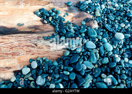 Kieselstein auf Treibholz in Sandcut Beach, Sooke Stockfoto