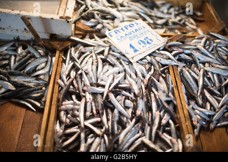 Frischer Fisch zum Verkauf Dimotiki Agora Markt Athen Griechenland // ATHEN, Griechenland — frischer Fisch zum Verkauf in der Dimotiki Agora, auch bekannt als Varvakios Agora, in der Innenstadt von Athen. Der Markt ist der größte Einzelhandelsmarkt für frische Lebensmittel in der Stadt, mit einer Reihe von Fisch- und Meeresfrüchteständen im Zentrum. Das Dimotiki Agora ist ein beliebtes Reiseziel für Einheimische und Touristen und bietet einen Einblick in die traditionelle griechische Esskultur und den Handel. Stockfoto