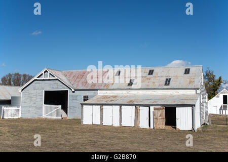 Stallungen und Remise c1910 bei Saumarez, eine Eigenschaft des National Trust, Armidale NSW Australia. Stockfoto