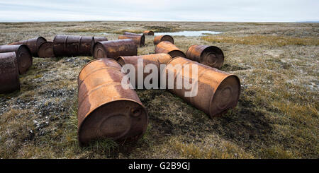 Verrostete Trommeln in der Tundra, Mammut-Fluss, Wrangel Island, russischen Fernen Osten, UNESCO-Weltkulturerbe Stockfoto