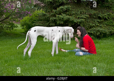 Frau in rot mit großer Hund Stockfoto