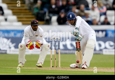 Der englische Alex Hales hat am ersten Tag des zweiten Investec-Testmatches im Emirates Riverside, Chester-Le-Street, geschlagen. DRÜCKEN SIE VERBANDSFOTO. Bilddatum: Freitag, 27. Mai 2016. Siehe PA Geschichte CRICKET England. Das Foto sollte lauten: Richard Sellers/PA Wire. Stockfoto