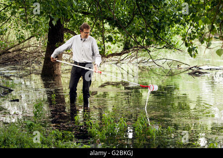 Leiter des Research Gruppe Biologen Prof. Dr. Jens Boenigk nimmt eine Wasserprobe in einem bewachsenen Teich. Stockfoto