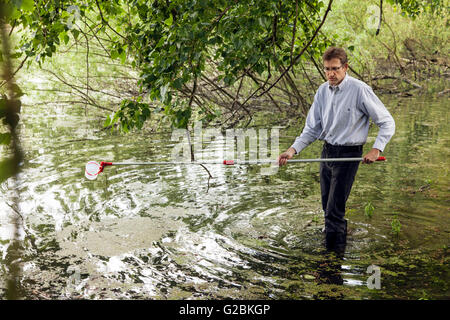 Leiter des Research Gruppe Biologen Prof. Dr. Jens Boenigk nimmt eine Wasserprobe in einem bewachsenen Teich. Stockfoto