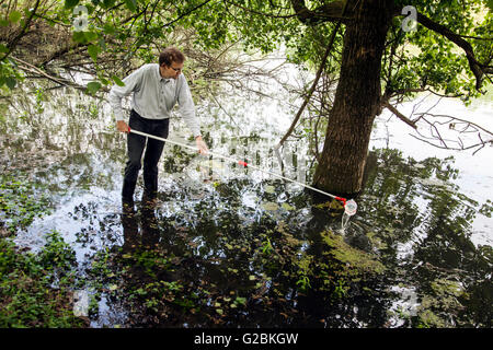 Leiter des Research Gruppe Biologen Prof. Dr. Jens Boenigk nimmt eine Wasserprobe in einem bewachsenen Teich. Stockfoto