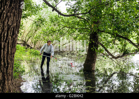 Leiter des Research Gruppe Biologen Prof. Dr. Jens Boenigk nimmt eine Wasserprobe in einem bewachsenen Teich. Stockfoto