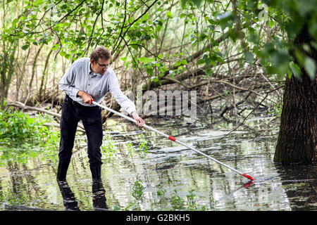 Leiter des Research Gruppe Biologen Prof. Dr. Jens Boenigk nimmt eine Wasserprobe in einem bewachsenen Teich. Stockfoto