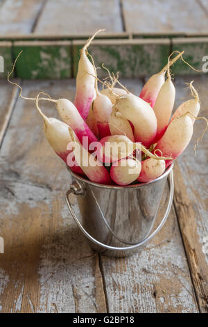 Ein paar Radieschen in einem Blecheimer auf rustikalen Holzoberfläche. Stockfoto