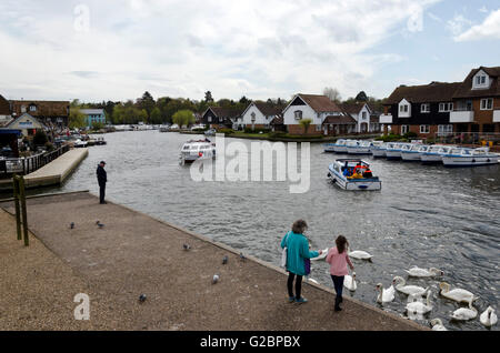 Der Blick vom Wroxham Bridge auf den Norfolk Broads in der Region East Anglia, England. Stockfoto