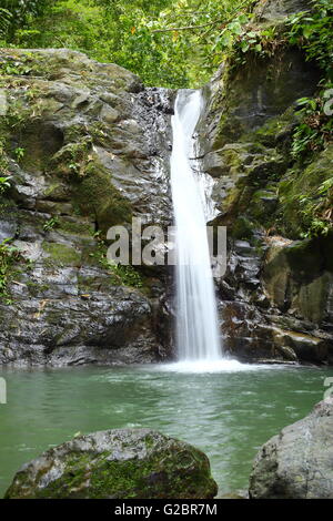 Spektakulärer Wasserfall im Dschungel Costa Ricas. Stockfoto