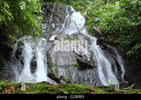 Spektakulärer Wasserfall im Dschungel Costa Ricas. Stockfoto