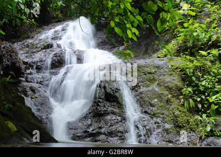 Spektakulärer Wasserfall im Dschungel Costa Ricas. Stockfoto