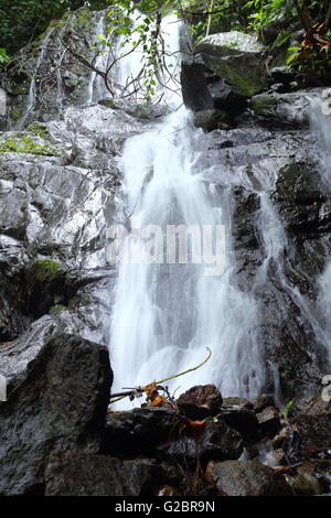 Spektakulärer Wasserfall im Dschungel Costa Ricas. Stockfoto