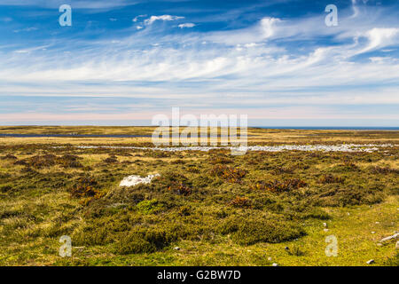 Ein Blick auf die Landschaft der Torfmoore auf East Falkland, Falkland-Inseln, British Overseas Territory. Stockfoto