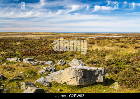 Ein Blick auf die Landschaft der Torfmoore auf East Falkland, Falkland-Inseln, British Overseas Territory. Stockfoto