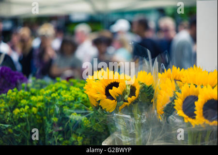 Eine Reihe von Sonnenblumen auf einem Blumenmarkt mit Menschen im Hintergrund Stockfoto