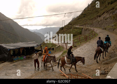 Pilger auf dem Weg zum Tempel Kedarnath, Garhwal Himalaya, Uttarakhand, Indien Stockfoto