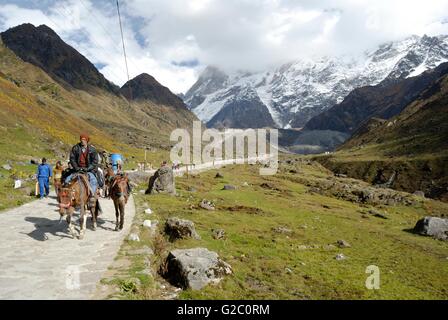 Pilger auf dem Weg zum Tempel Kedarnath, Garhwal Himalaya, Uttarakhand, Indien Stockfoto