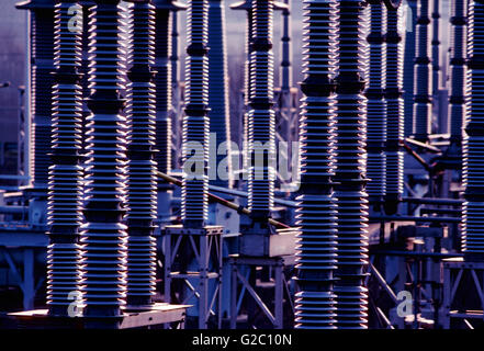 Abenddämmerung auf der elektrischen Übertragung Hof; Limerick Atomkraftwerk; Limerick; Pennsylvania; USA Stockfoto