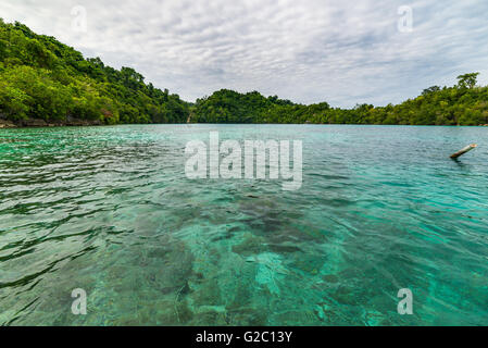 Transparenten Meer, dramatischer Himmel, traditionelle Kultur und grünen Wald im abgelegenen Malenge Strand, Togean Islands, Sulawesi, Indon Stockfoto