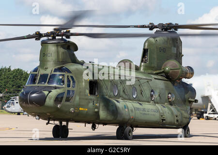 Königlichen niederländischen Luftwaffe Boeing CH - 47D Chinook Military Transport Hubschrauber D-101 von 298 Sitz Squadron in Gilze Rijen. Stockfoto