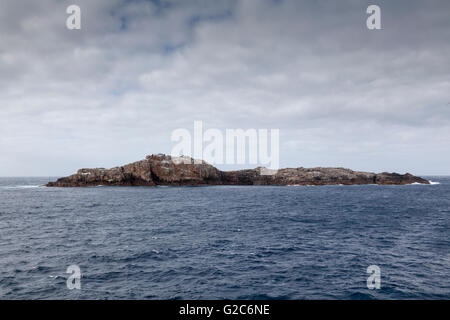 Hauptgruppe der Bounty-Inseln, Neuseeland Stockfoto