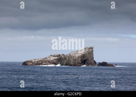 Hauptgruppe der Bounty-Inseln, Neuseeland Stockfoto