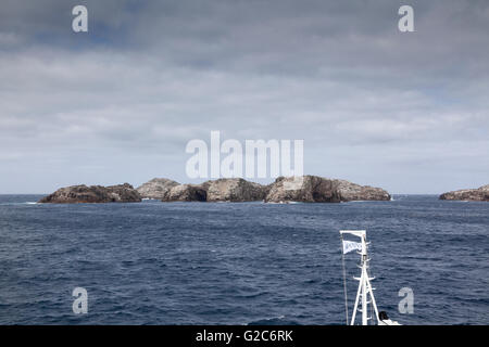 Hauptgruppe der Bounty-Inseln, Neuseeland Stockfoto