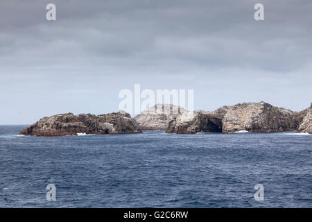 Hauptgruppe der Bounty-Inseln, Neuseeland Stockfoto