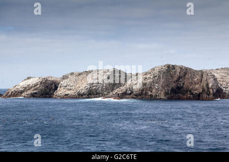 Hauptgruppe der Bounty-Inseln, Neuseeland Stockfoto