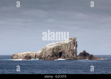 Hauptgruppe der Bounty-Inseln, Neuseeland Stockfoto